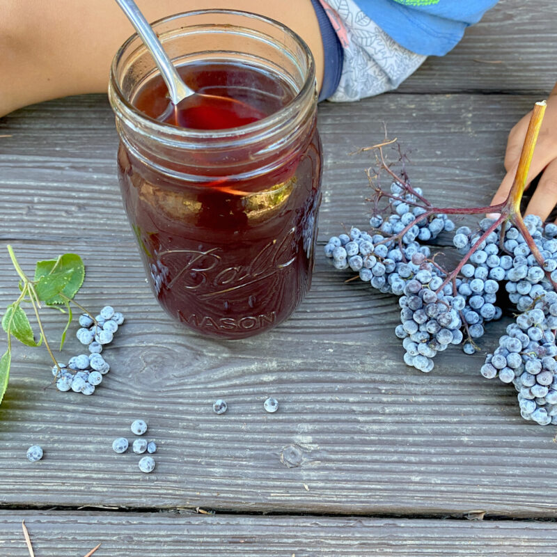 Medicinal Herbs to Grow for Cold & Flu Season