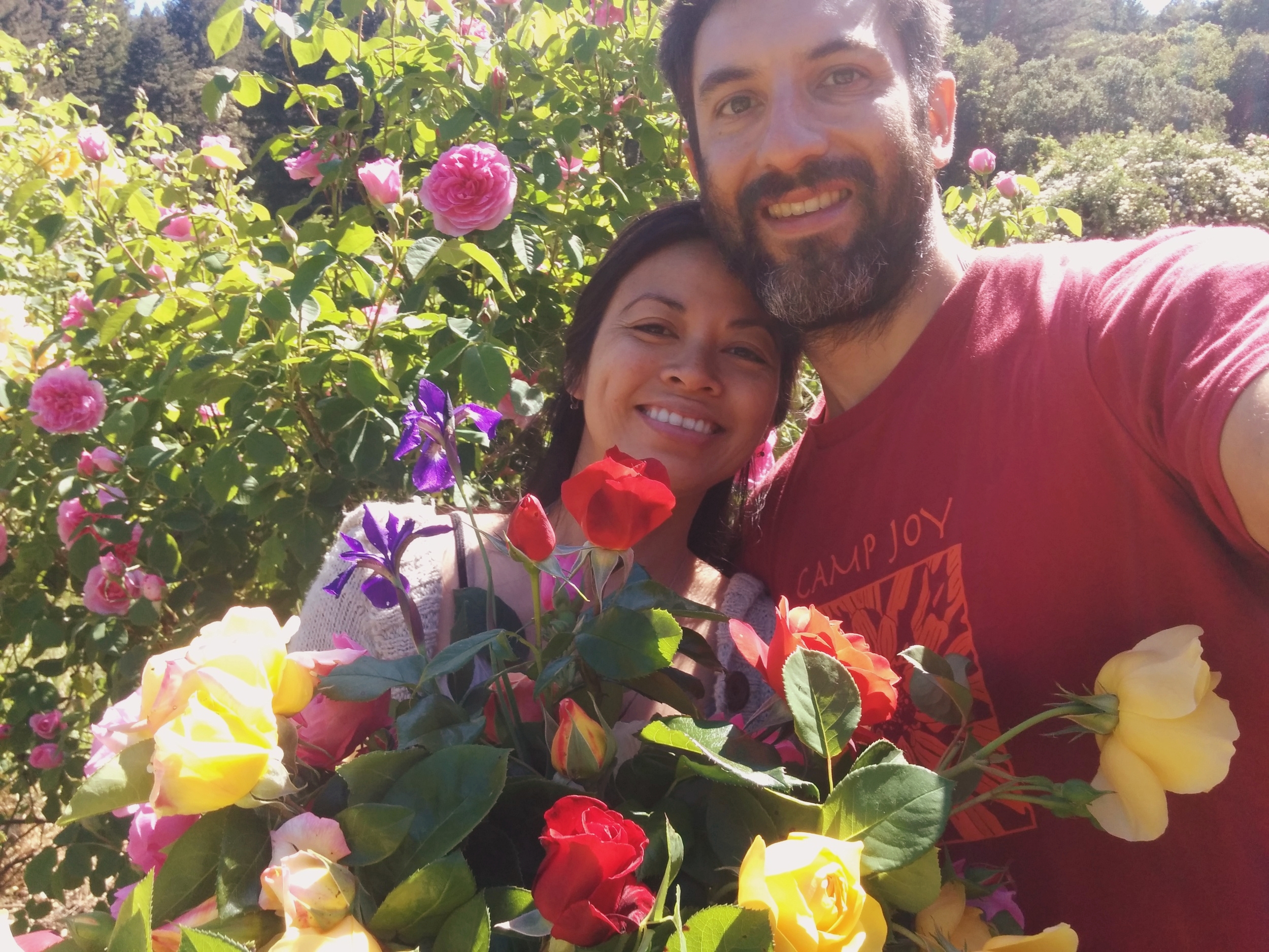 Roses and love on the homestead