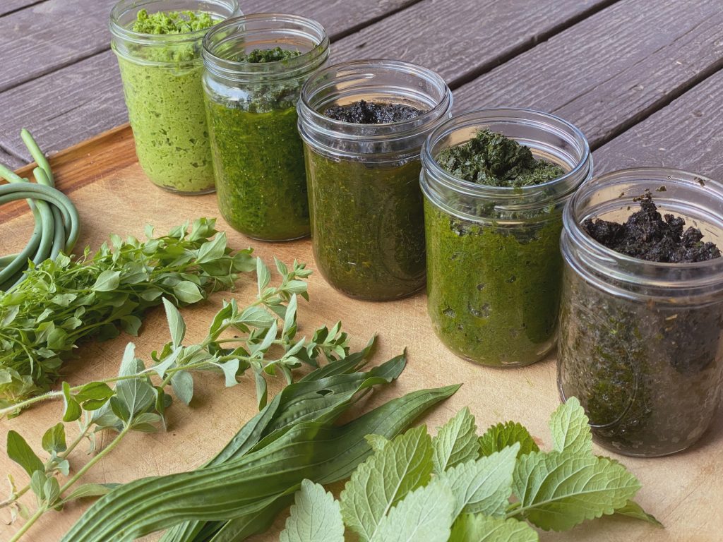 Herbal Pesto (and Pistou) Recipe – Homestead Culture