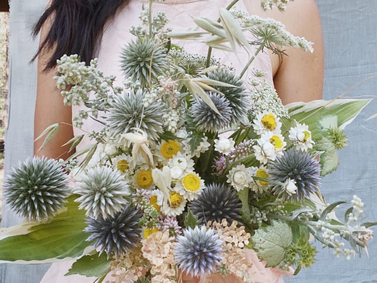Deer Resistant Flowers for Indomitable Beauty