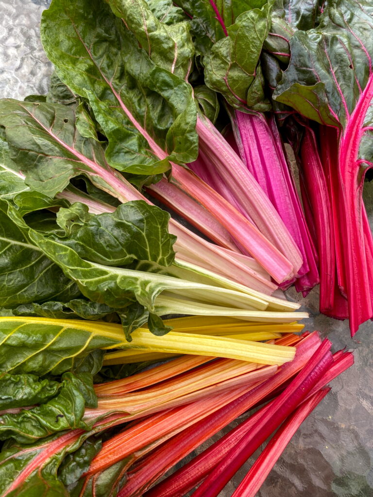 Rainbow Swiss Chard Grex