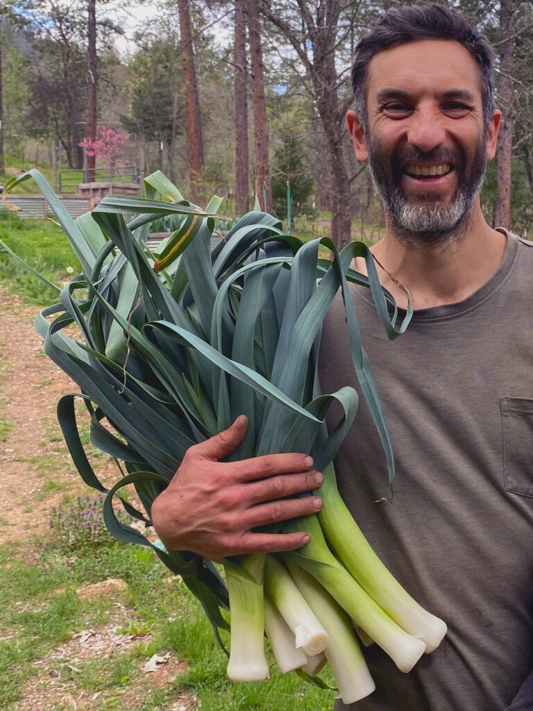 Take a Leek Mix