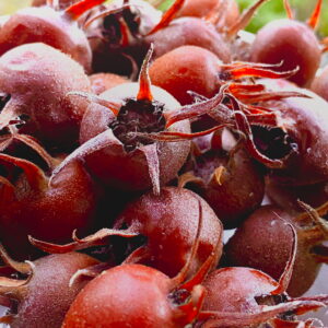 Medlar Mix