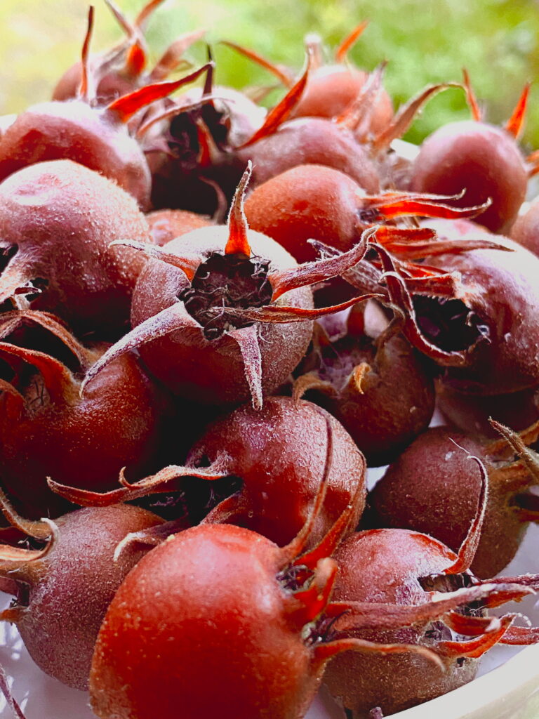 Medlar Mix