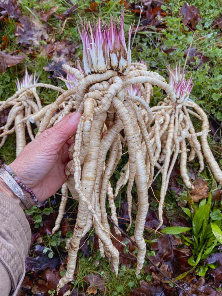 Skirret Mix