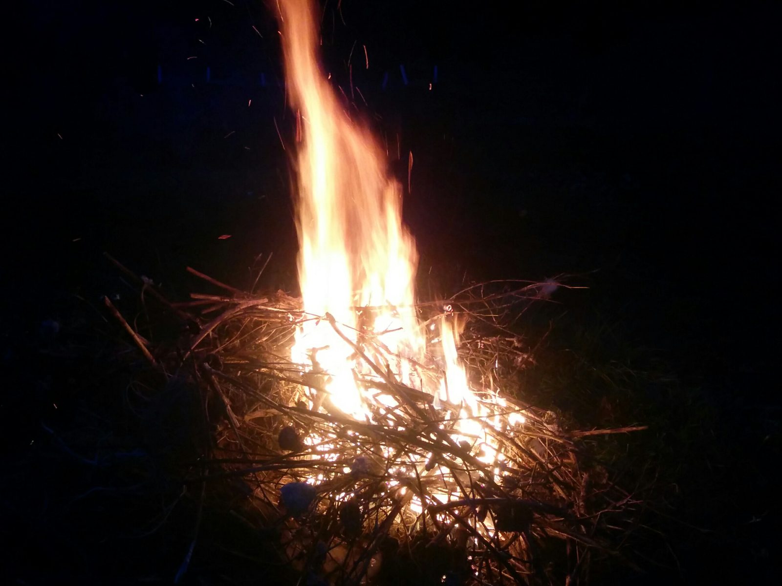 Biochar: Black Gold Forged in Fire
