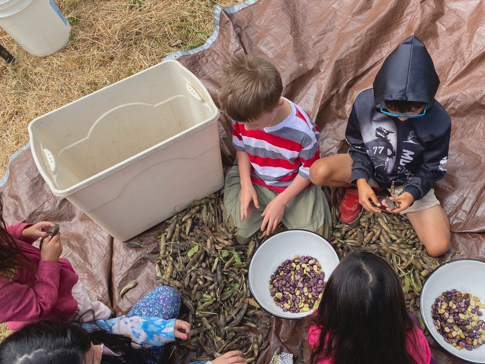 Growing Into Community